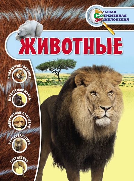 Обложка книги  «Животные»