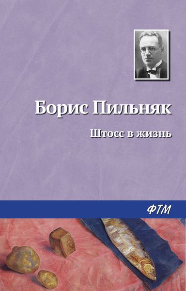 Обложка книги «Штосс в жизнь»