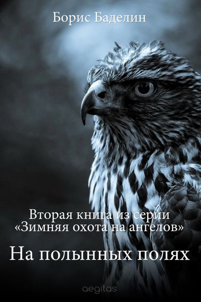Обложка книги  «На полынных полях»