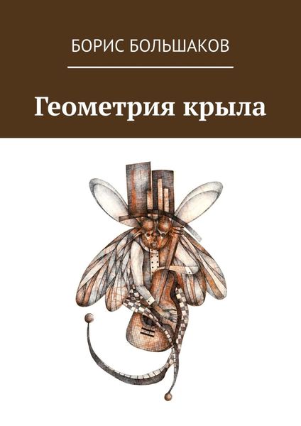 Обложка книги  «Геометрия крыла»