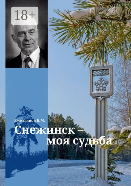 Обложка книги «Снежинск – моя судьба»