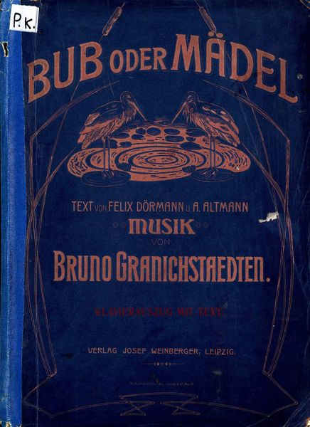 Обложка книги  «Bub oder Madel»