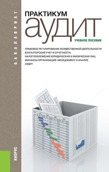 Обложка книги  «Аудит. Практикум»