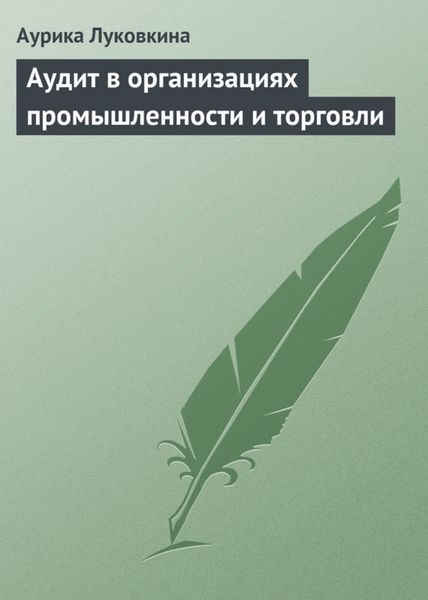 Обложка книги «Аудит в организациях промышленности и торговли»