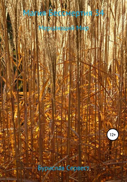 Обложка книги  «Магия Бессмертия 34. Мерцающий Мир»