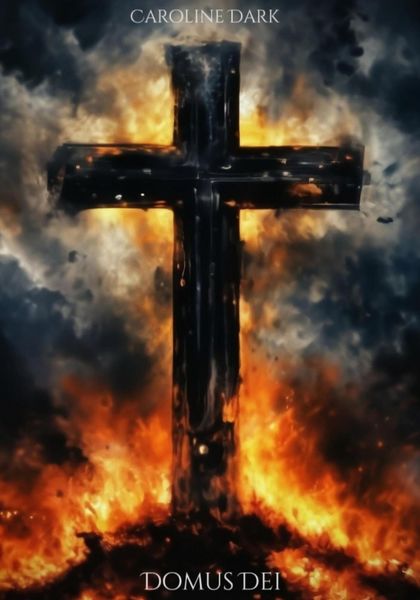 Обложка книги «Domus Dei»