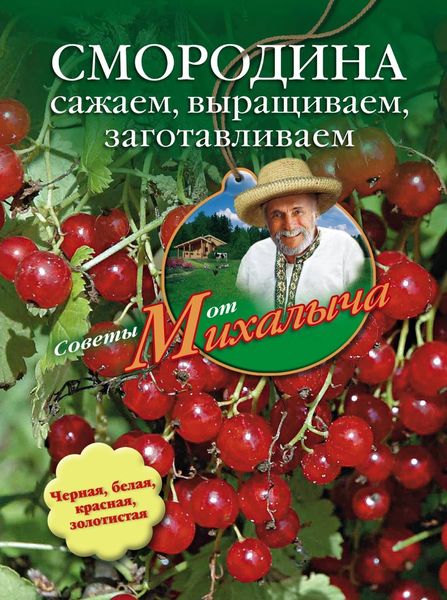 Обложка книги  «Смородина. Сажаем, выращиваем, заготавливаем»