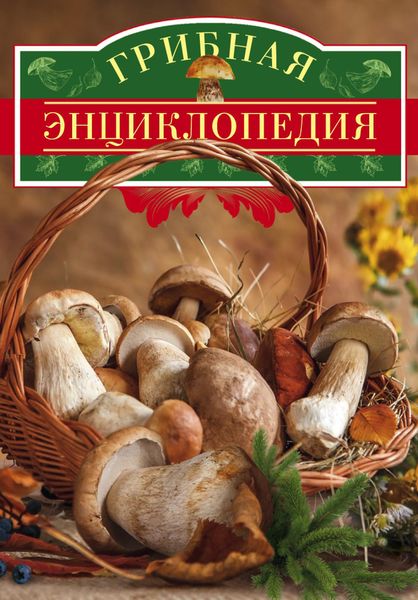 Обложка книги  «Грибная энциклопедия»
