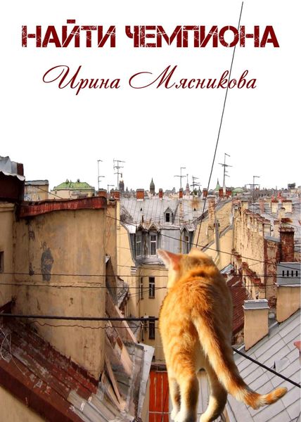 Обложка книги  «Найти чемпиона»