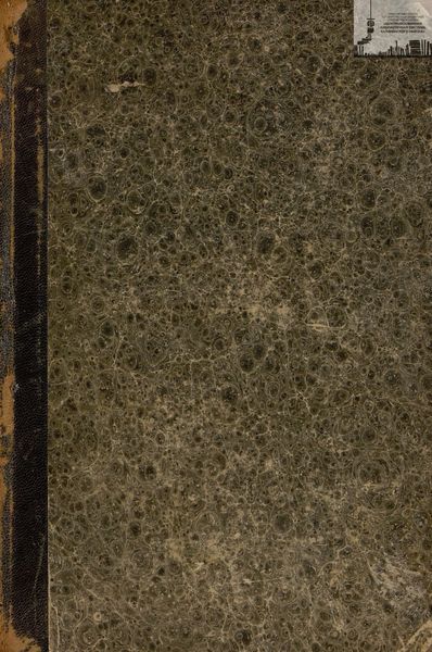 Обложка книги  «Учитель русского общества (В. Г. Белинский)»
