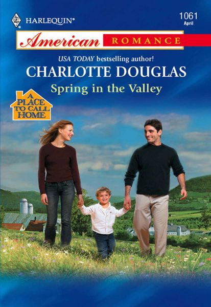 Обложка книги «Spring In The Valley»