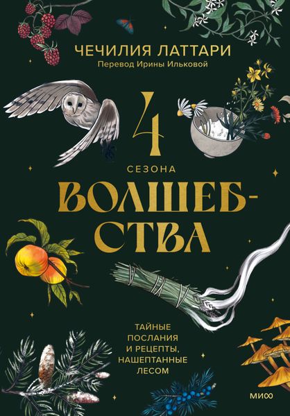 Обложка книги  «4 сезона волшебства. Тайные послания и рецепты, нашептанные лесом»