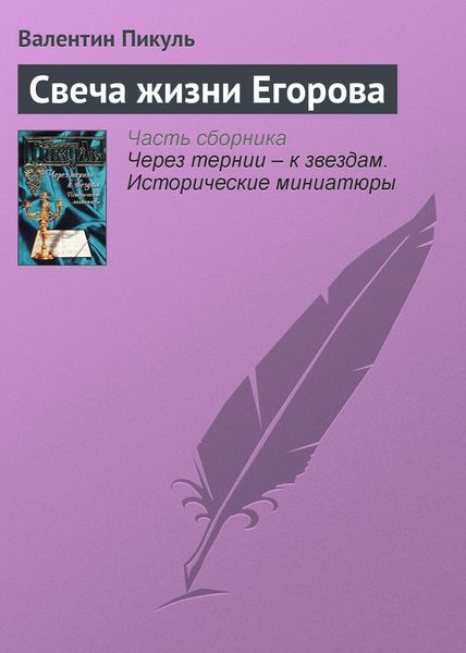 Обложка книги  «Свеча жизни Егорова»