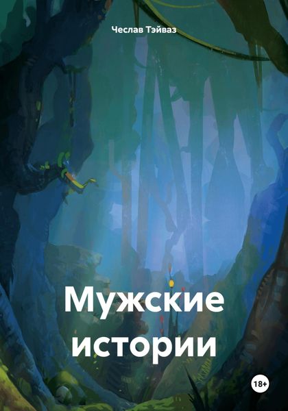 Обложка книги  «Мужские истории»