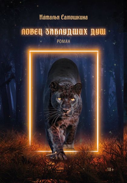 Обложка книги  «Ловец заблудших душ»