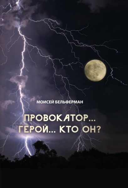 Обложка книги  «Провокатор… Герой… Кто он?»