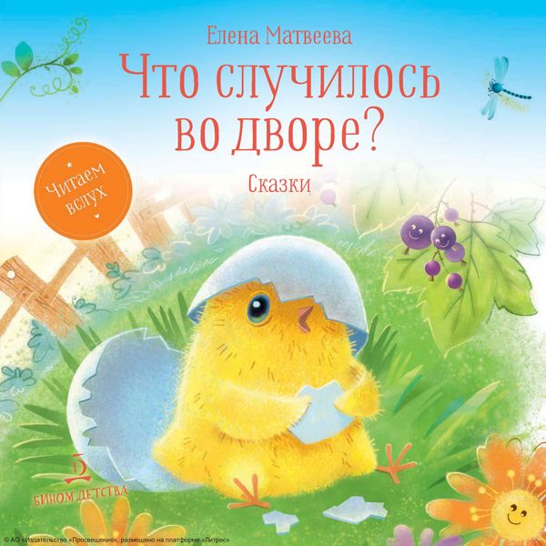 Обложка книги  «Что случилось во дворе?»
