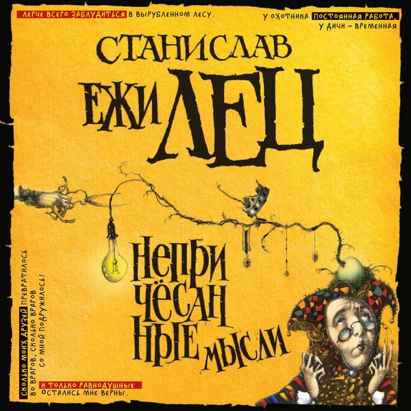 Обложка книги  «Непричесанные мысли»