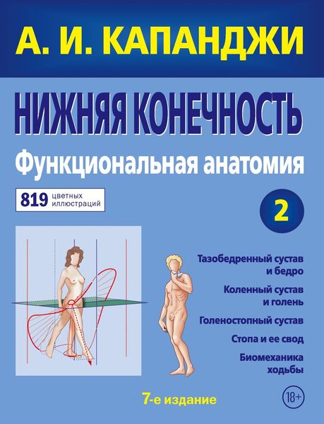 Обложка книги  «Нижняя конечность. Функциональная анатомия»
