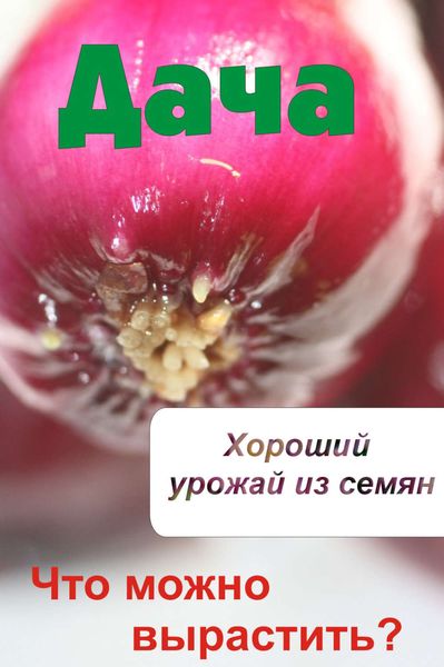 Обложка книги  «Что можно вырастить? Хороший урожай из семян»