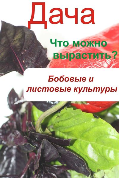 Обложка книги  «Что можно вырастить? Огород. Бобовые и листовые культуры»