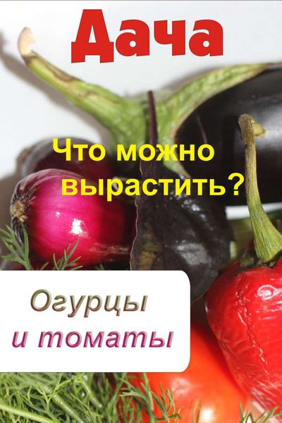 Обложка книги  «Что можно вырастить? Огурцы и томаты»