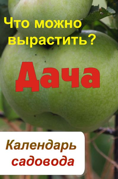 Обложка книги  «Календарь садовода. Что можно вырастить?»