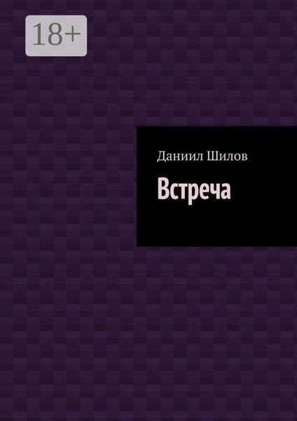 Обложка книги  «Встреча»