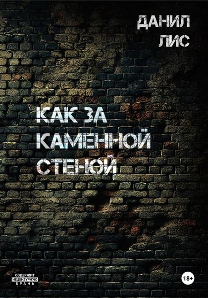 Обложка книги  «Как за каменной стеной»