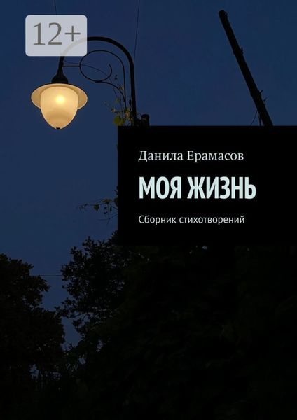 Обложка книги  «Групповая тишина. Сборник стихотворений»