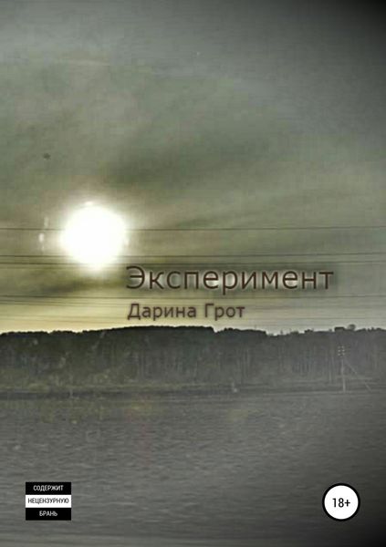 Обложка книги  «Эксперимент»