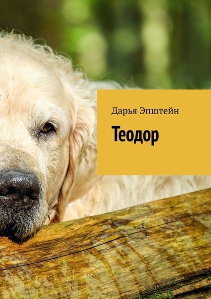 Обложка книги  «Теодор»