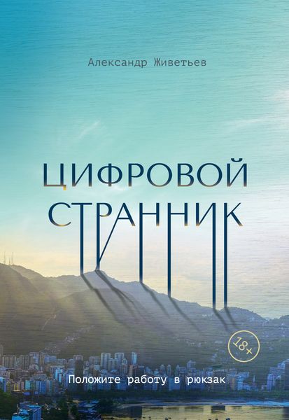 Обложка книги «Цифровой странник»