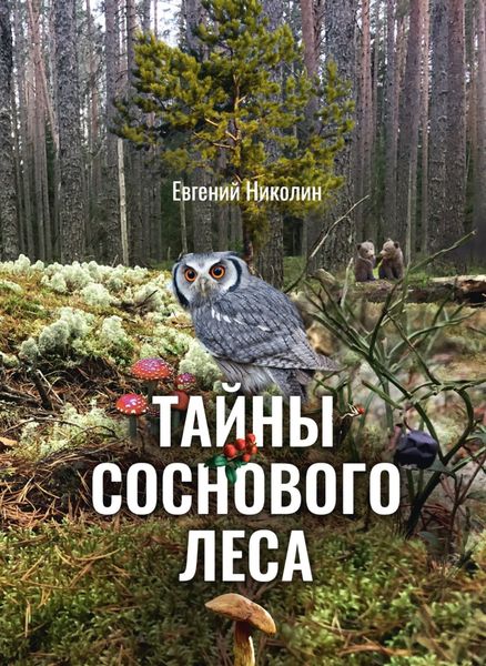 Обложка книги  «Тайны соснового леса»