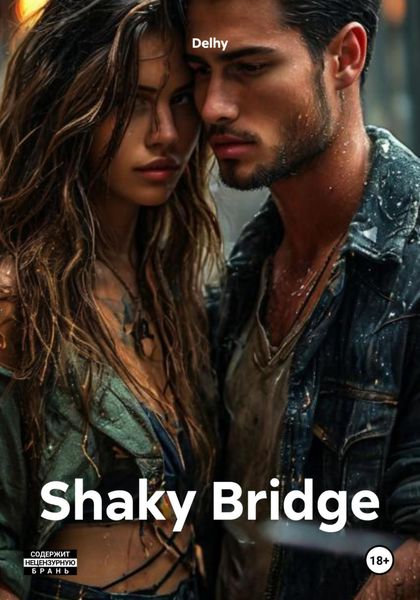 Обложка книги «Shaky Bridge»