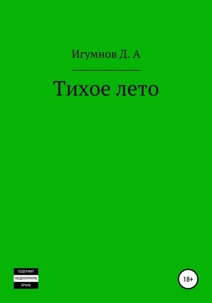 Обложка книги  «Тихое лето»
