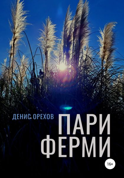 Обложка книги «Пари Ферми»