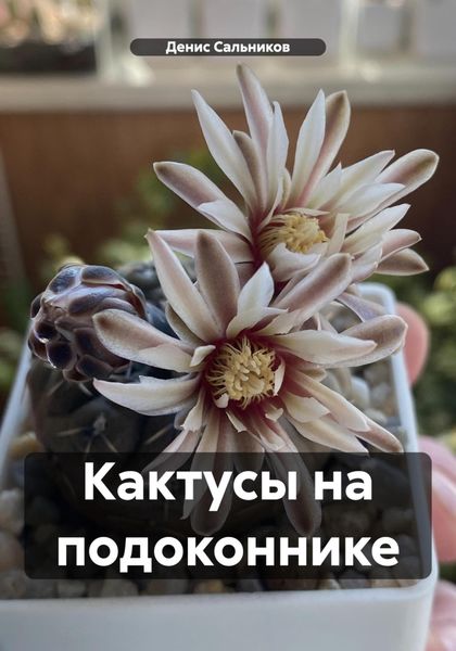 Обложка книги «Кактусы на подоконнике»