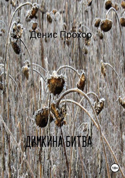 Обложка книги  «Димкина битва»