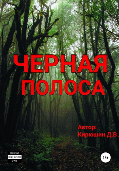 Обложка книги  «Черная полоса»