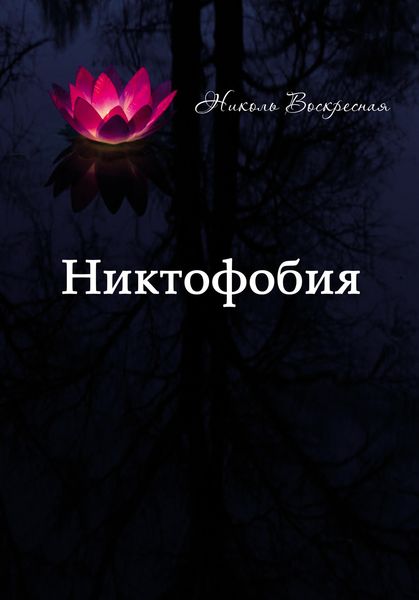 Обложка книги  «Никтофобия»