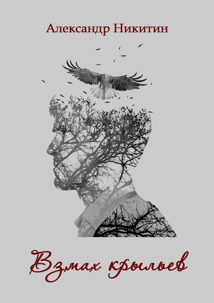 Обложка книги  «Взмах крыльев»