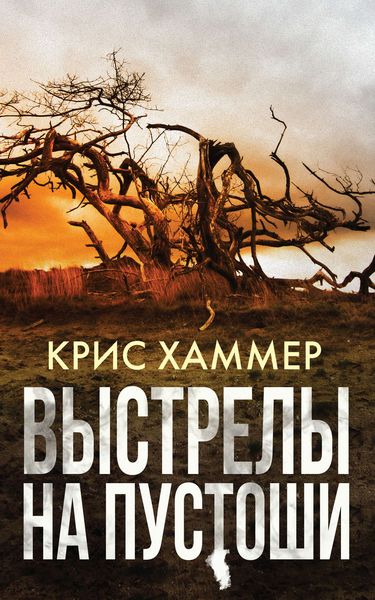 Обложка книги  «Выстрелы на пустоши»
