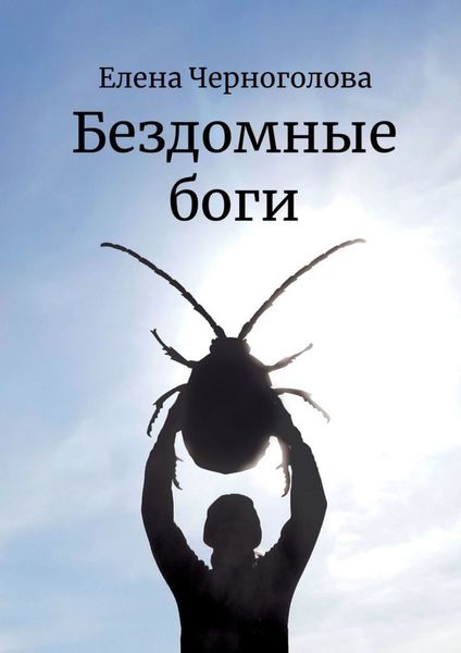 Обложка книги  «Бездомные боги»