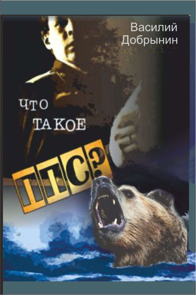 Обложка книги  «Что такое ППС?»
