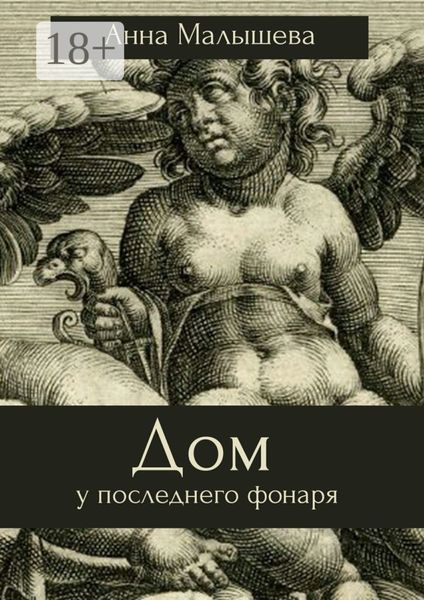Обложка книги  «Дом у последнего фонаря»