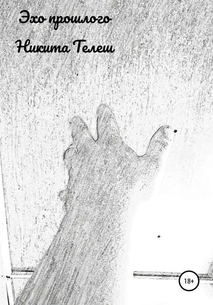 Обложка книги  «Эхо прошлого»