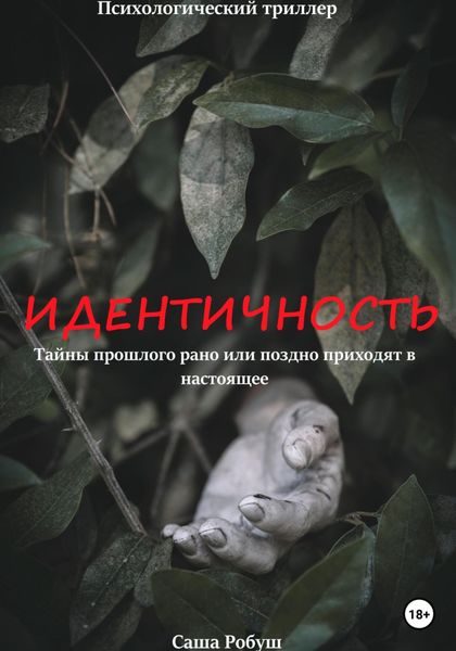 Обложка книги  «Идентичность»