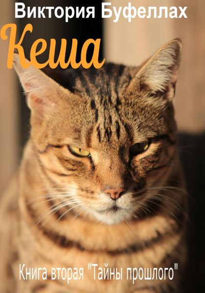 Обложка книги  «Кеша. Книга вторая «Тайны прошлого»»