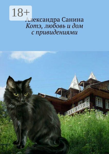 Обложка книги  «Котэ, любовь и дом с привидениями»
